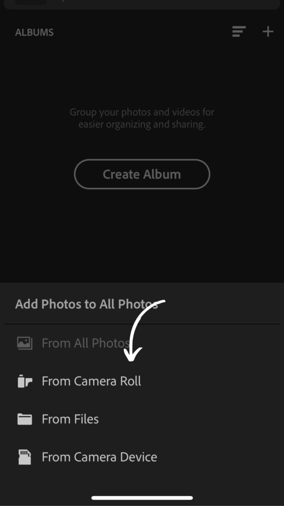 lightroom editing styles