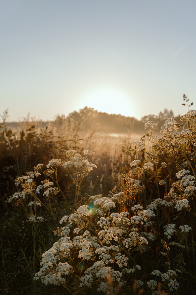 daily self care ideas