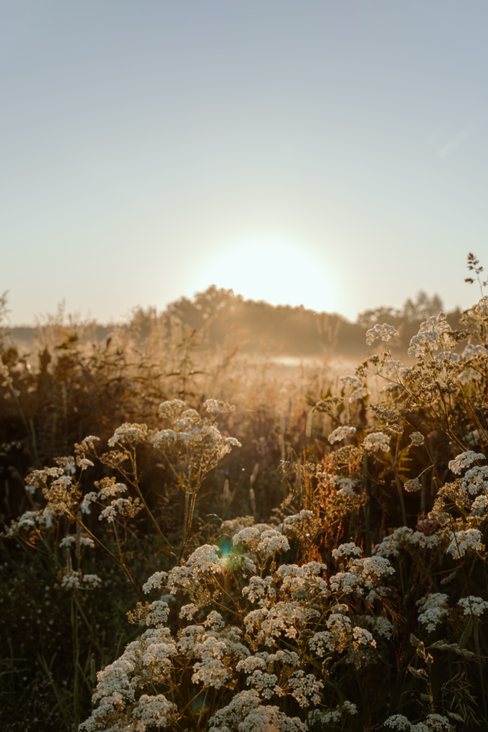 mindfulness challenge ideas