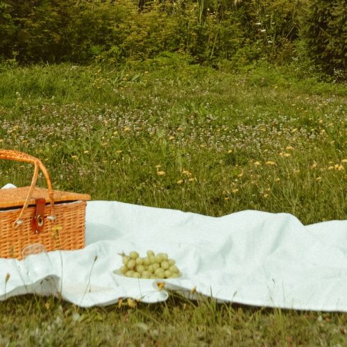 16 Simple Picnic Food Ideas