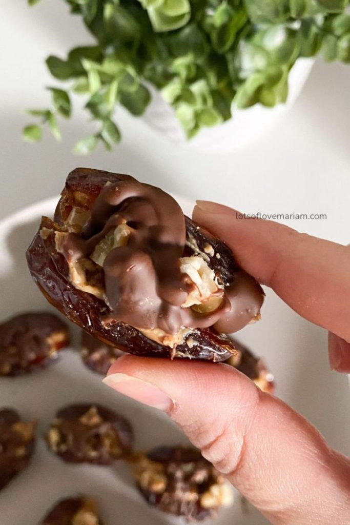 easy no bake dessert recipes